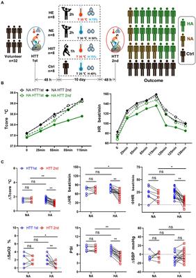 Alteration of gut microbiota after heat acclimation may reduce organ damage by regulating immune factors during heat stress